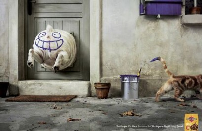 Publicidad canina