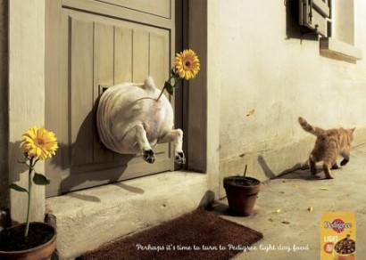 Publicidad canina