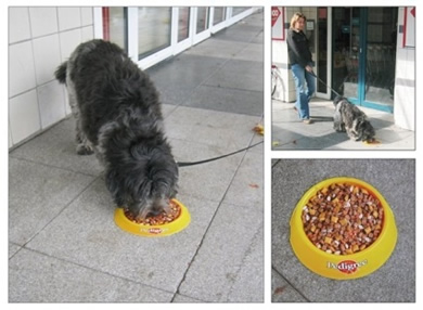 Publicidad canina