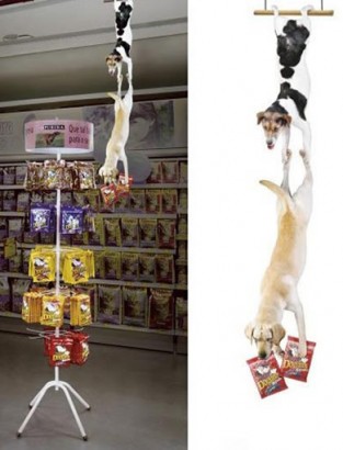 Publicidad canina