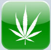 Aplicación para encontrar marihuana con el iPhone.