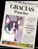 Haz de tu perro un héroe