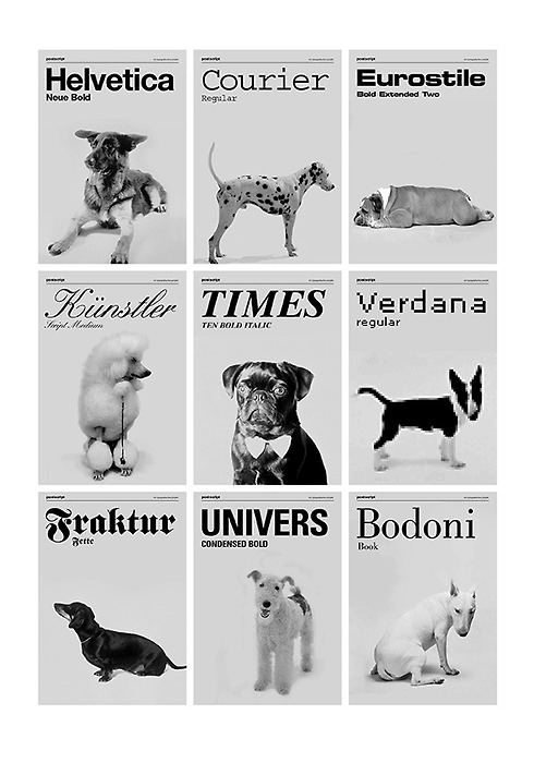 Curioso símil entre tipos y perros