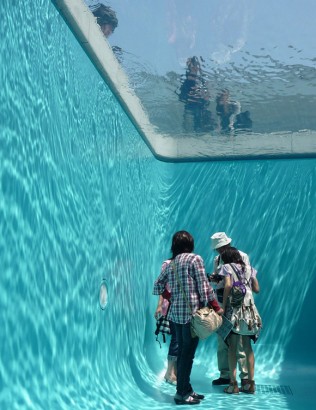 The Swimming Pool