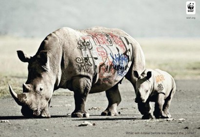 biodiversity and biosafety awareness rhinoceros 410x282 ¿Qué se necesita para respetar el planeta?