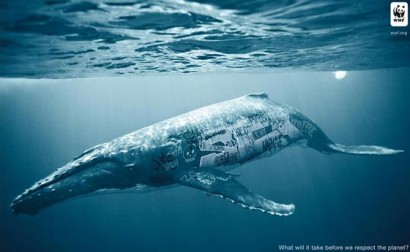 biodiversity and biosafety awareness whale 410x252 ¿Qué se necesita para respetar el planeta?