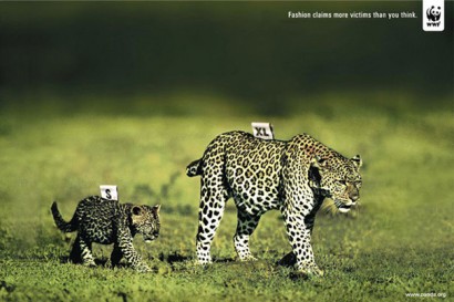Los mejores anuncios de WWF