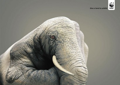 Los mejores anuncios de WWF